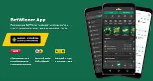 Explore the BetWinner Mobile App A Comprehensive Guide